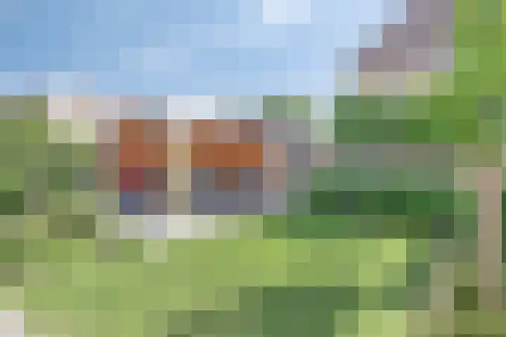 Opper 42 Someren thumbnail 30