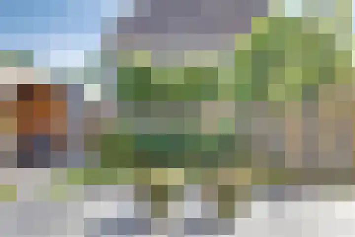 Opper 42 Someren thumbnail 32