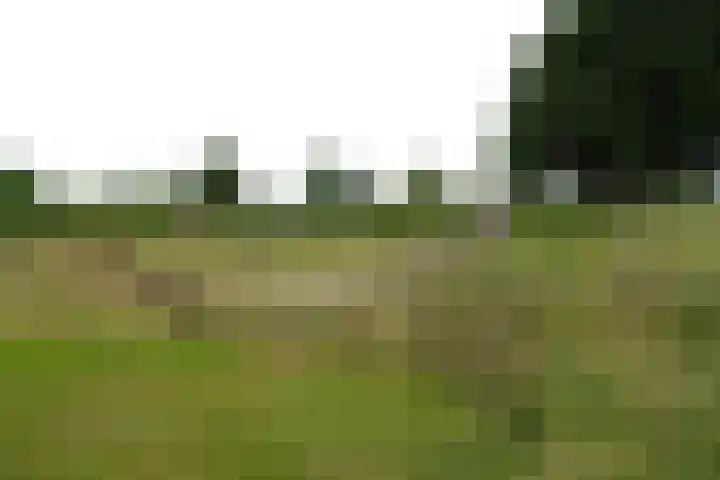 Opper 42 Someren thumbnail 42