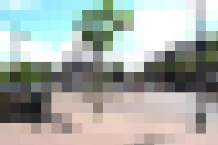 Opper 42 Someren thumbnail 44