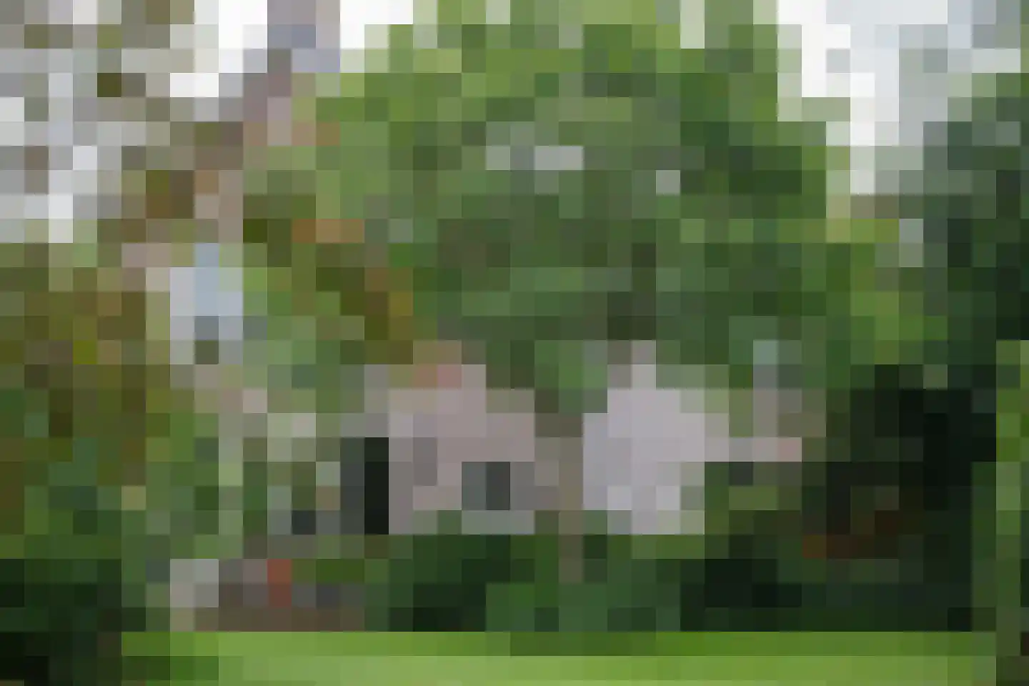 Opperduit 334 dans Lekkerkerk