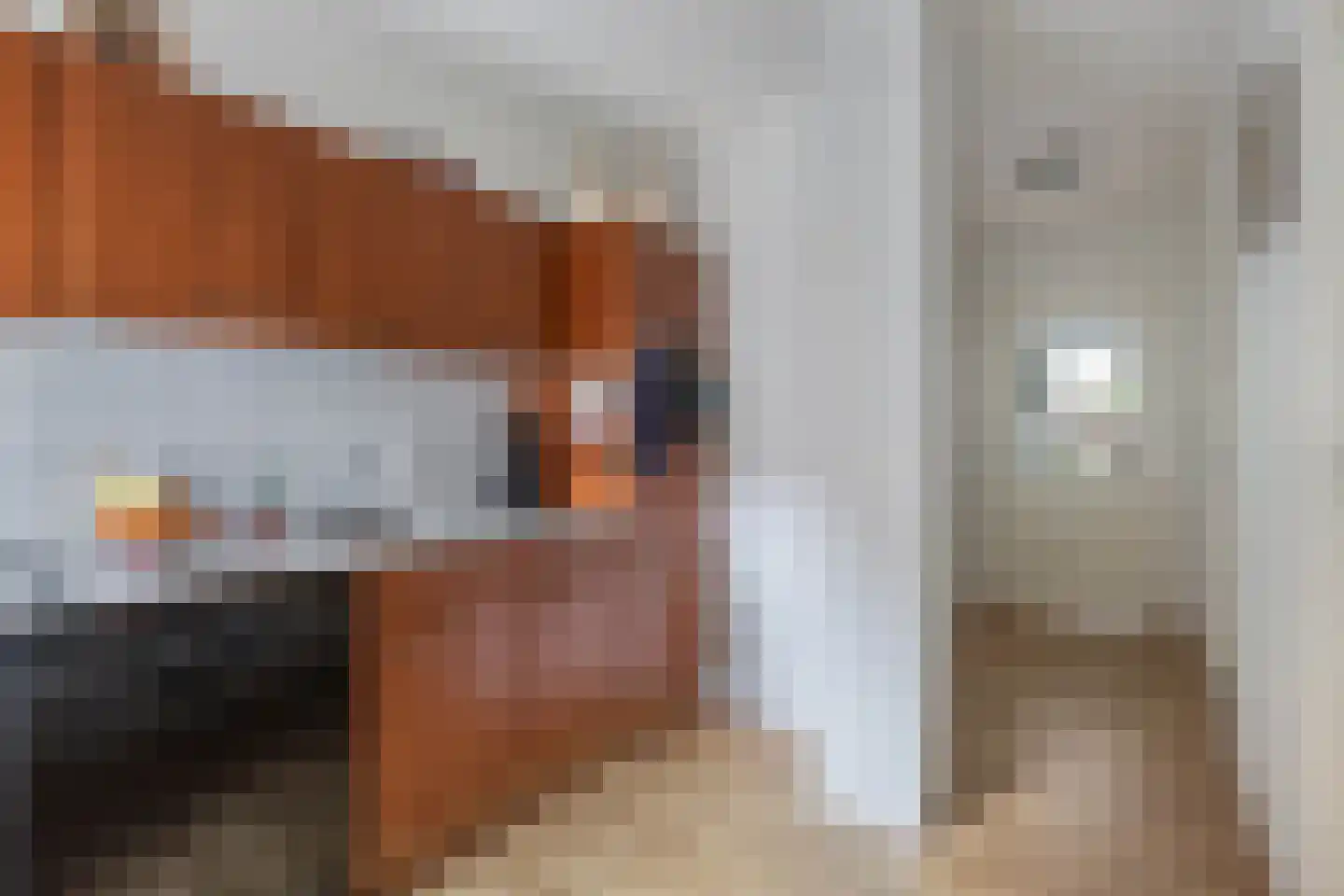 Oppers 47 Wolvega thumbnail 15