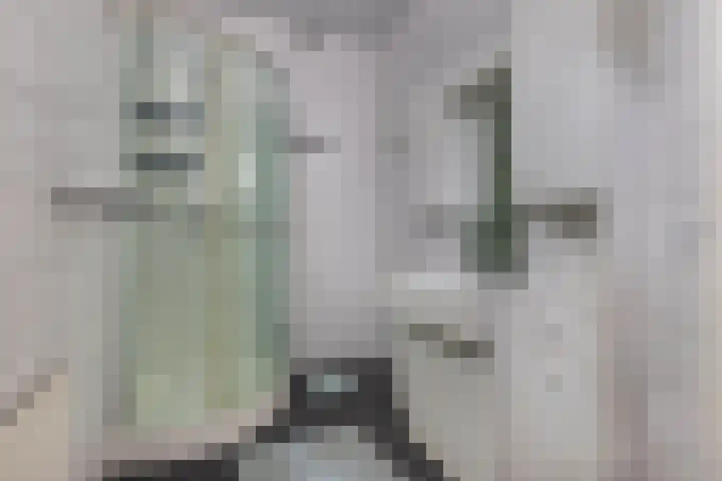 Oppers 47 Wolvega thumbnail 23