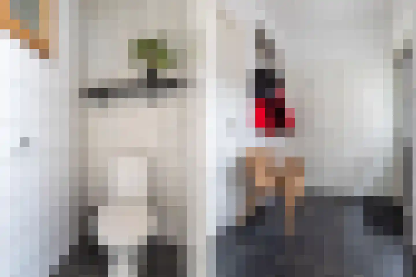 Oppers 47 Wolvega thumbnail 28