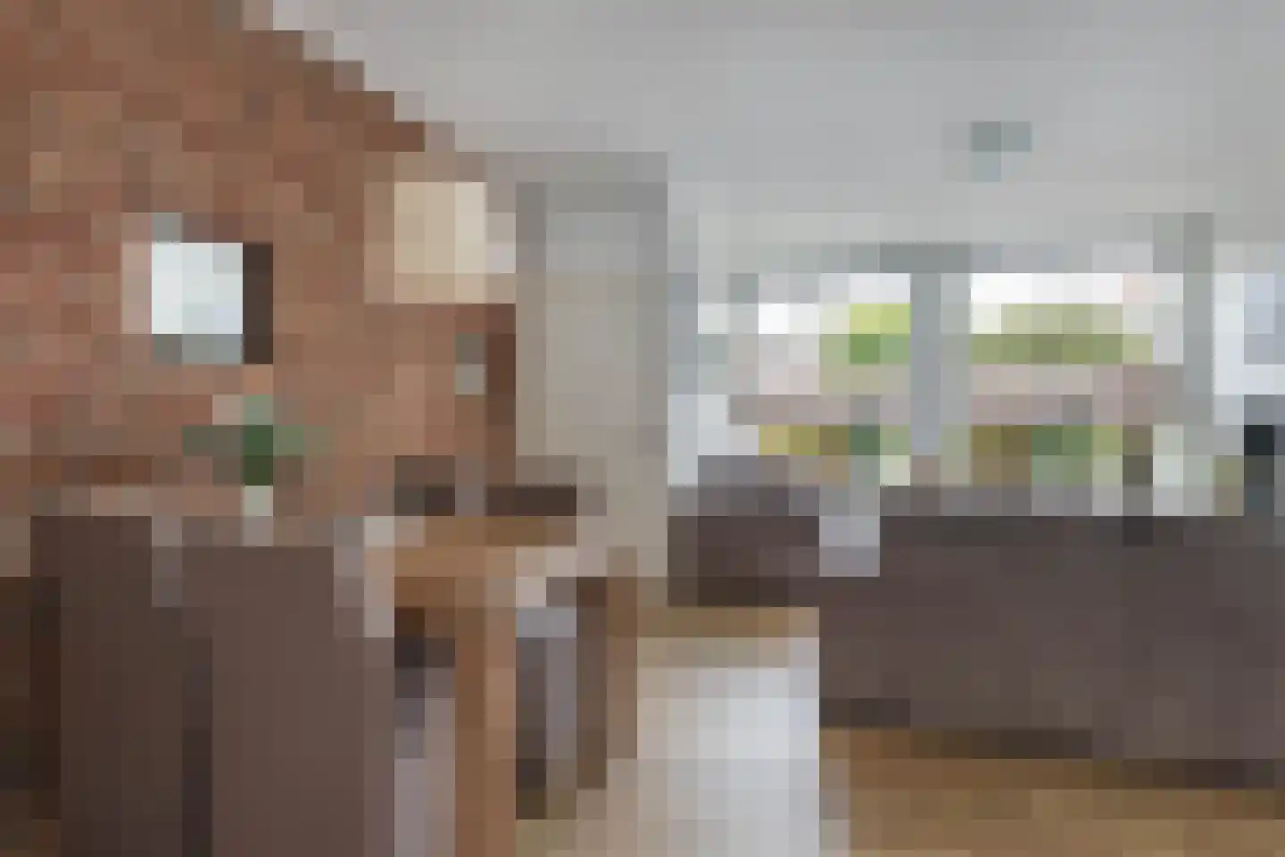 Oppers 47 Wolvega foto 3