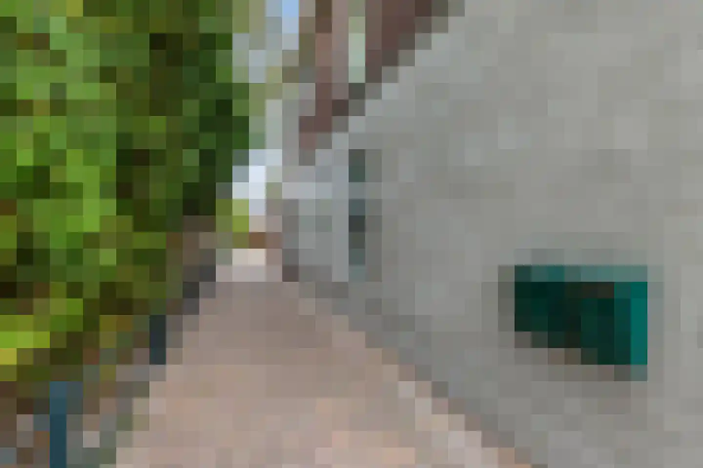 Oppers 47 Wolvega thumbnail 39