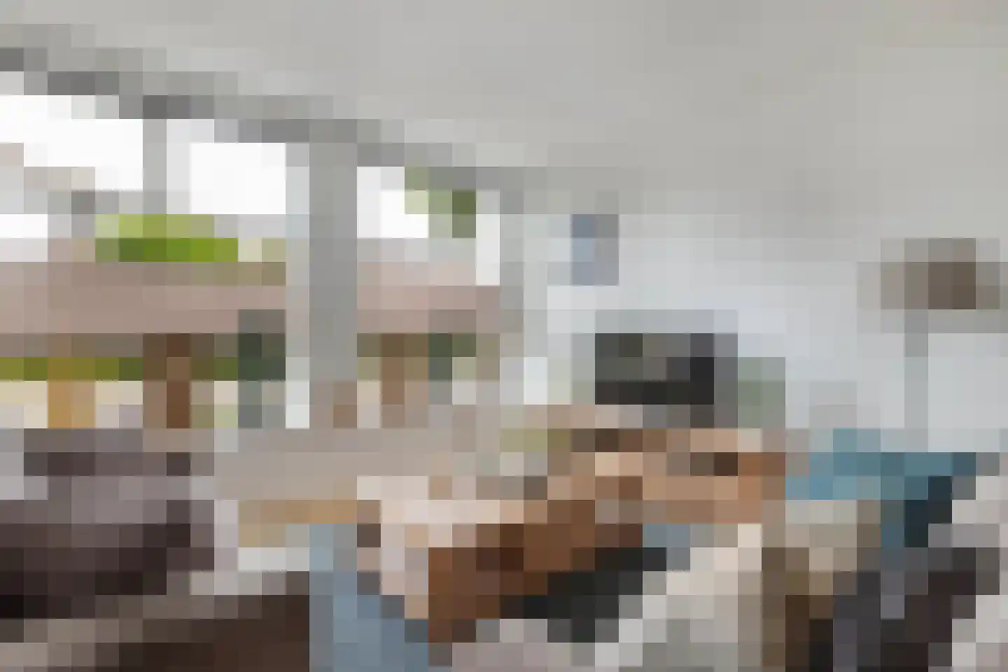 Oppers 47 Wolvega thumbnail 7