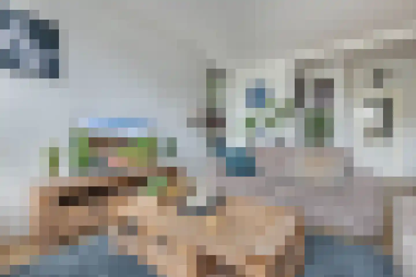 Oppers 47 Wolvega thumbnail 9