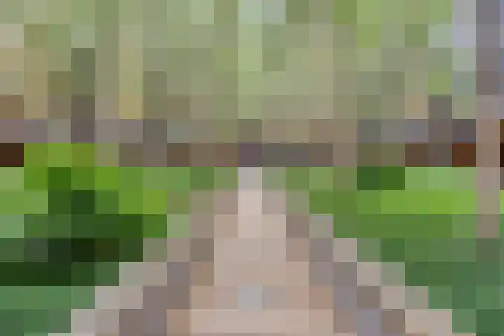 Oppert 244 Rotterdam