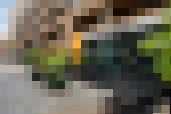 Oppert 252 Rotterdam foto 2