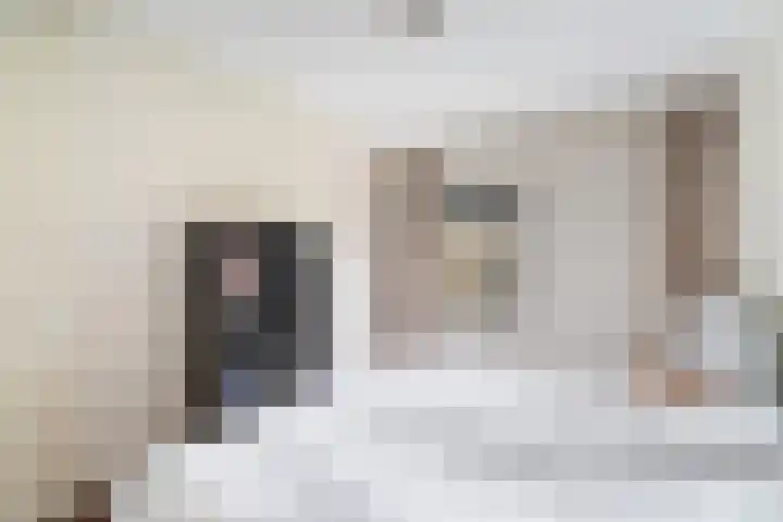 Oppert 252 Rotterdam thumbnail 25