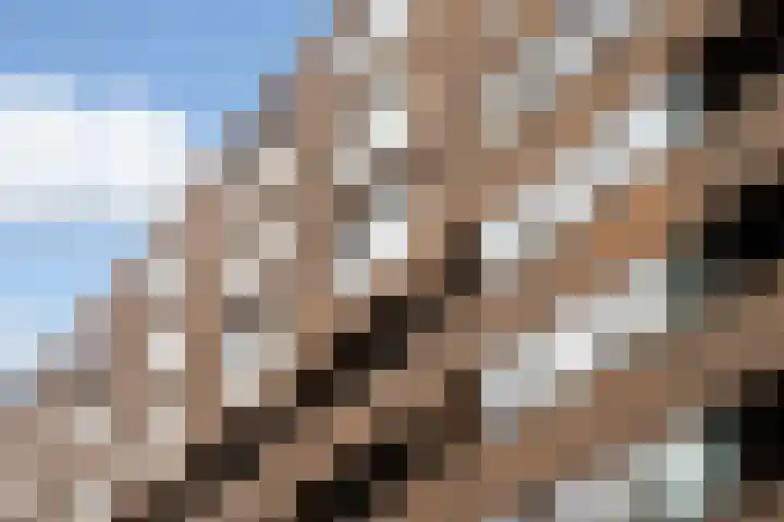 Oppert 252 Rotterdam foto 3