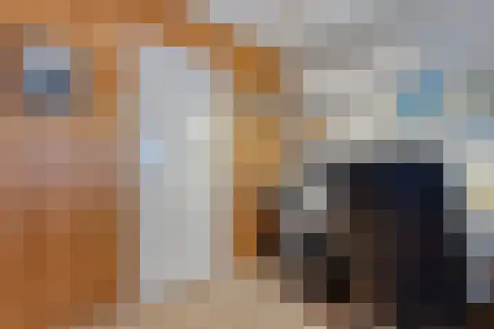 Oppert 252 Rotterdam thumbnail 30