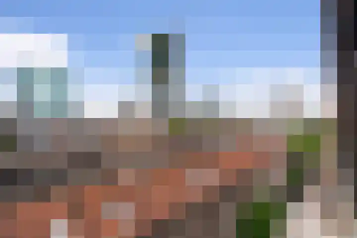 Oppert 252 Rotterdam thumbnail 36