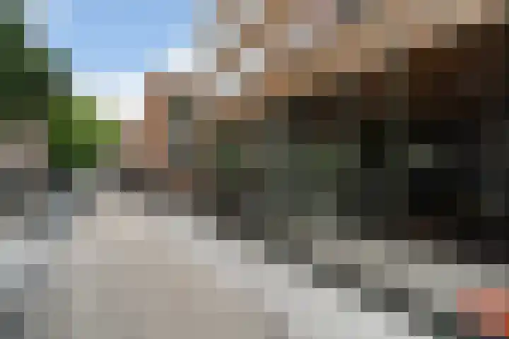 Oppert 252 Rotterdam thumbnail 4