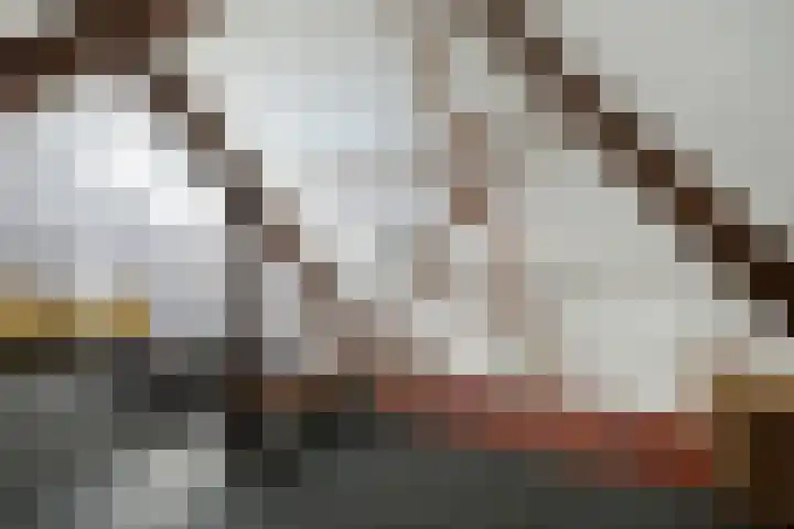 Oppert 252 Rotterdam thumbnail 48