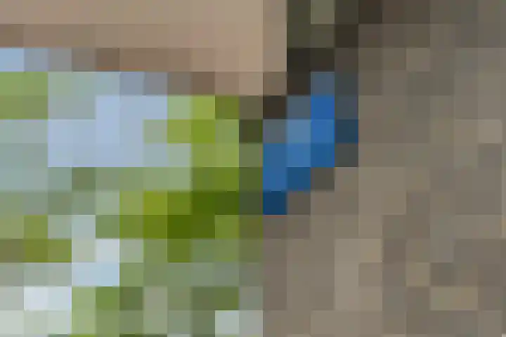 Oppert 252 Rotterdam thumbnail 7