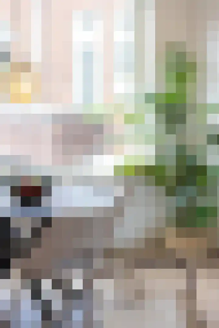 Oppert 3 C Rotterdam thumbnail 10
