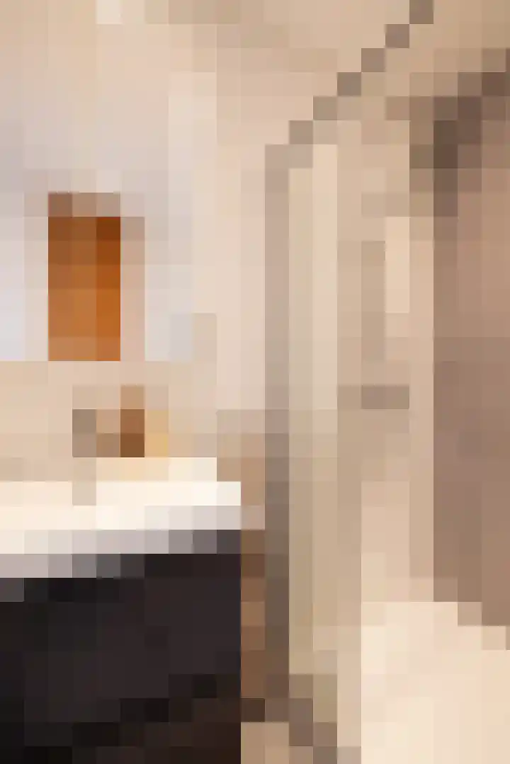 Oppert 3 C Rotterdam thumbnail 17
