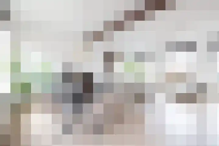 Oppert 3 C Rotterdam thumbnail 23