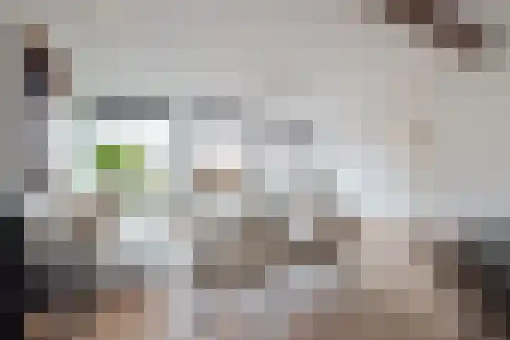 Oppert 3 C Rotterdam thumbnail 7