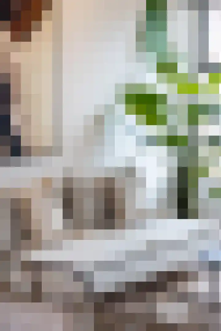 Oppert 3 C Rotterdam thumbnail 8