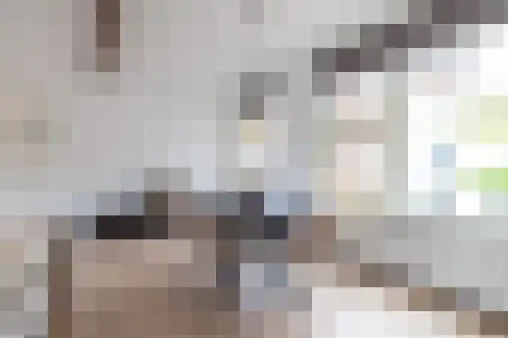 Oppert 3 C Rotterdam thumbnail 9