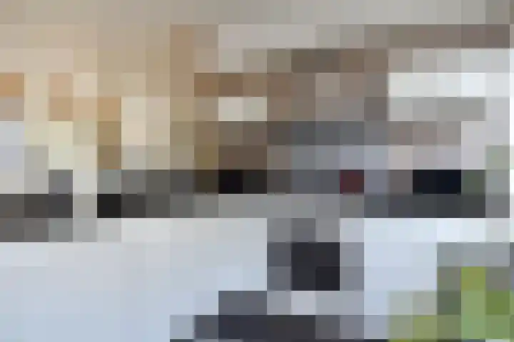 Opsterland 2 Zoetermeer thumbnail 17