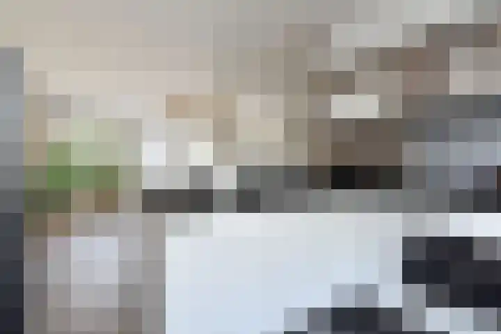 Opsterland 2 Zoetermeer thumbnail 18