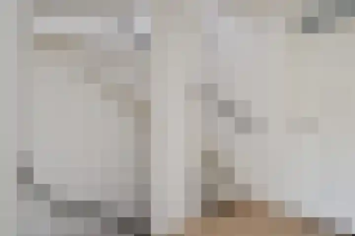 Opsterland 2 Zoetermeer thumbnail 19
