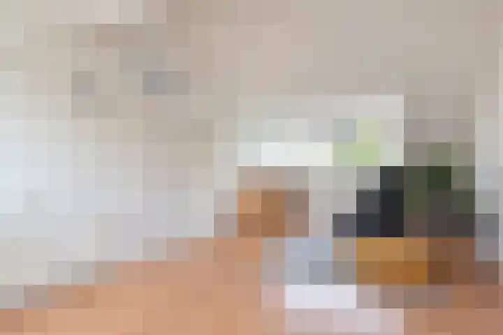 Opsterland 2 Zoetermeer thumbnail 31