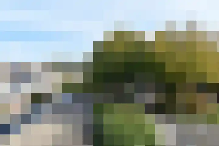 Opsterland 2 Zoetermeer thumbnail 4