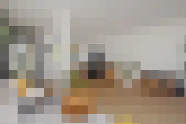 Opsterland 2 Zoetermeer thumbnail 5