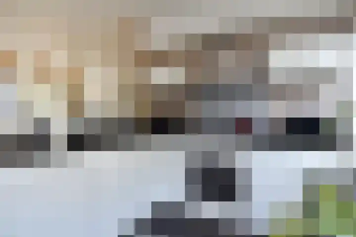 Opsterland 2 Zoetermeer thumbnail 7
