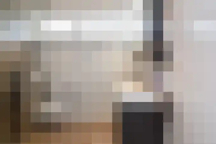 Opsterland 2 Zoetermeer thumbnail 8