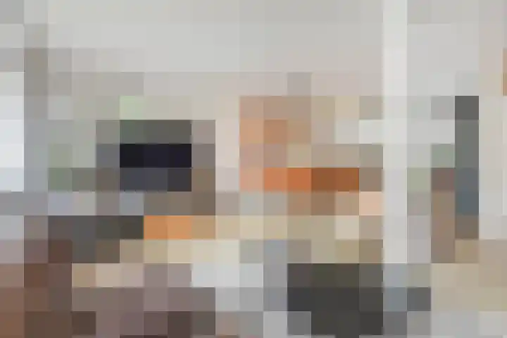 Opsterland 5 Zoetermeer thumbnail 12