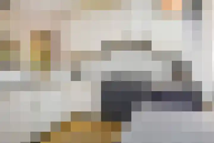 Opsterland 5 Zoetermeer thumbnail 15