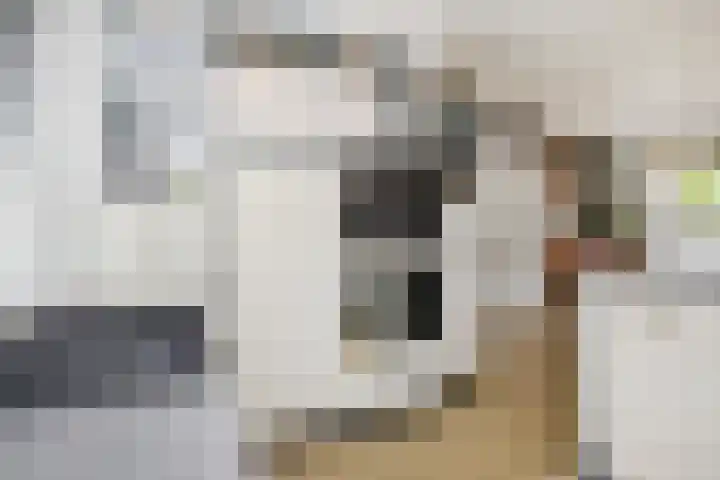 Opsterland 5 Zoetermeer thumbnail 16