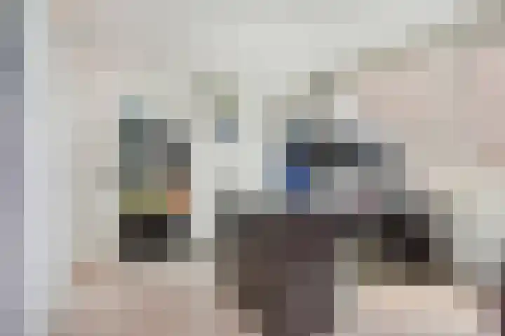 Opsterland 5 Zoetermeer thumbnail 20