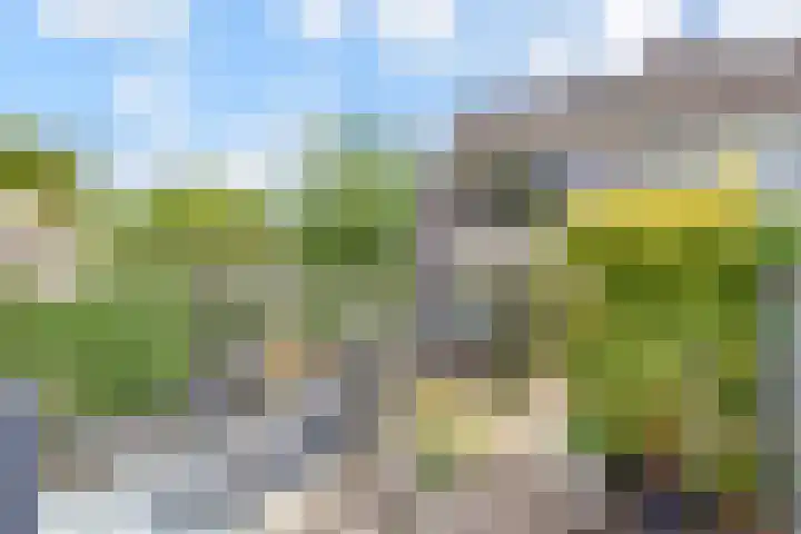 Opsterland 5 Zoetermeer thumbnail 34