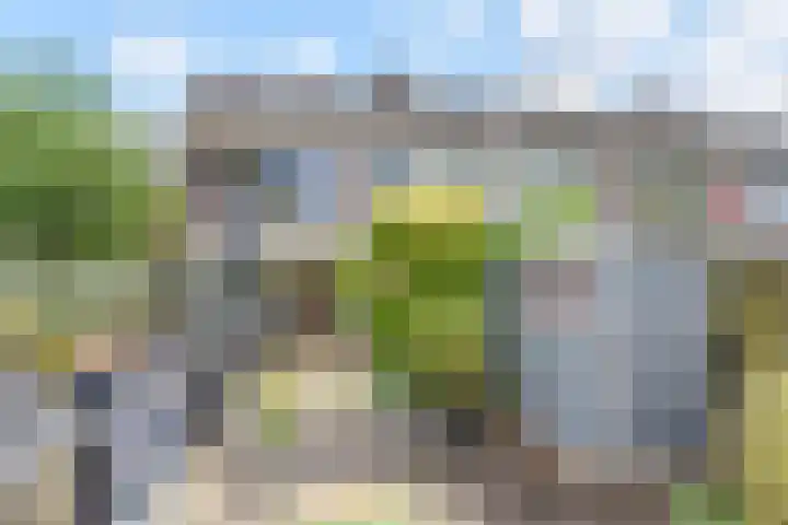 Opsterland 5 Zoetermeer thumbnail 35