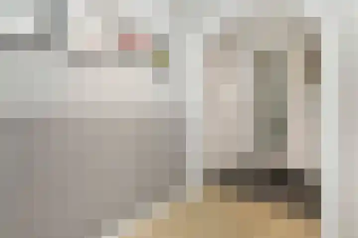 Opsterland 5 Zoetermeer thumbnail 9