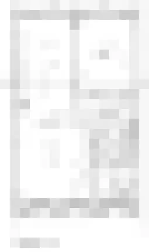 Optimist 4 Landsmeer thumbnail 12
