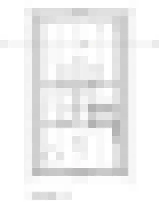 Optimist 9 Landsmeer thumbnail 13