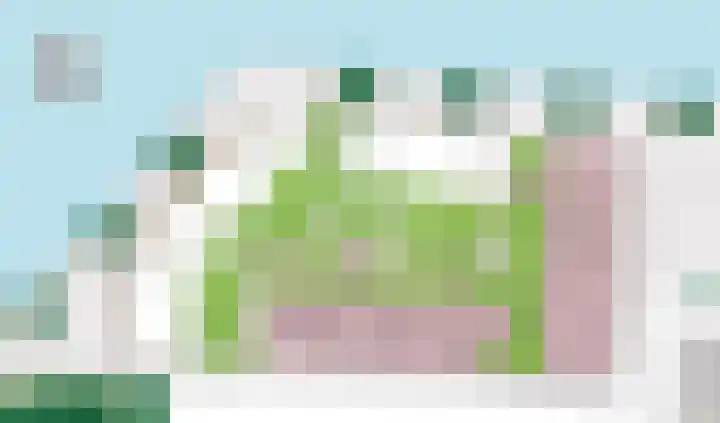 Optimist 9 Landsmeer thumbnail 7