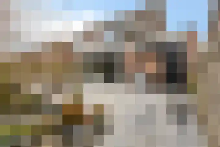 Opweg 44 Hekendorp thumbnail 15