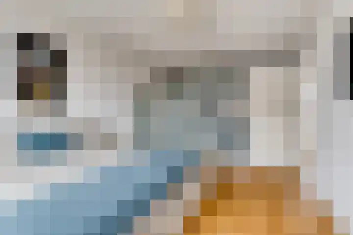 Opweg 44 Hekendorp thumbnail 22