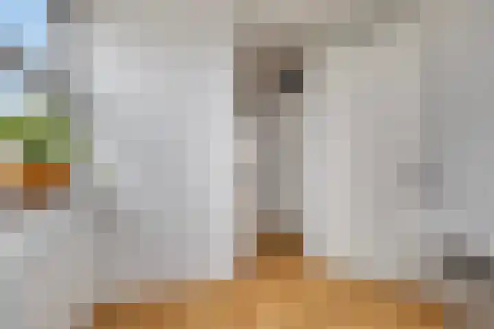 Opweg 44 Hekendorp thumbnail 31
