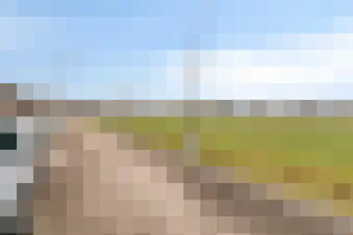 Opweg 44 Hekendorp thumbnail 44