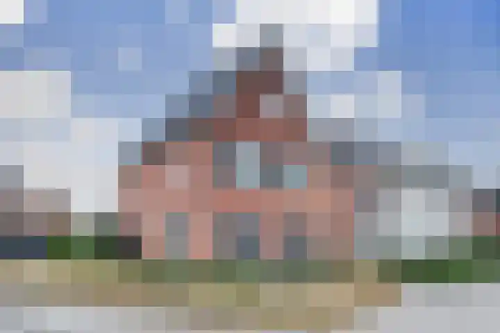 Oranje zegge 13 in Vlijmen